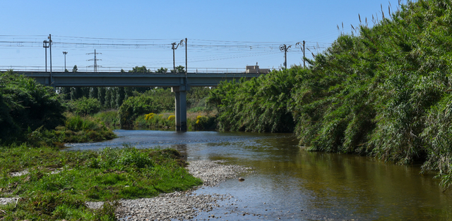 A área metropolitana de Llobregat possui mais de 2.500 espécies de flora e fauna