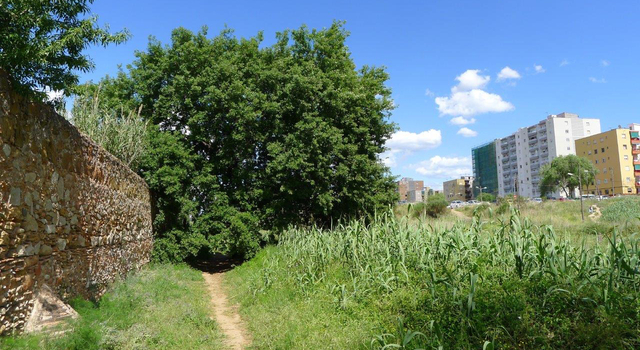 Começam as obras de naturalização de um trecho do riacho Can Soler