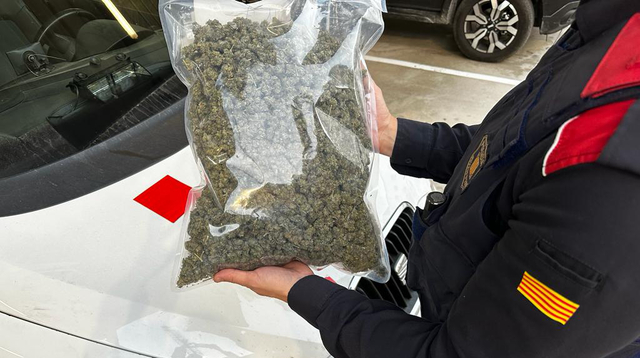 Eles encontram 45 quilos de maconha dentro de um carro em Sant Vicenç