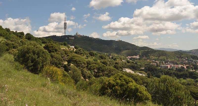 Novo mandato do consórcio Parque Natural Serra de Collserola